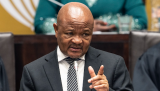 WATCH LIVE | Suspended police minister Mchunu appears before parliament ad hoc committee