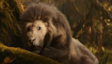 Wicked Unveils 'Celebrated Actor' Playing Cowardly Lion In Sequel
