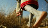 67 boys rescued, 14 illegal initiation schools closed in North West