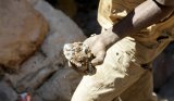 DRC 'considering' cobalt export ban extension, quota plan faces delays