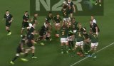 All Blacks ‘well primed’ for Bok trick play
