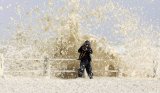 Toxic algal bloom off South Australia devastates marine life, tourism
