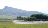 South Africa’s polluted rivers pose food contamination risk