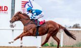 Big names lining up for Algoa Cup