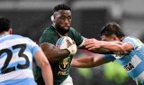 Kolisi braces for wounded Pumas to come out fighting