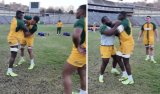 Watch: Boks put Junior Bok to the test