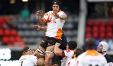 Ex-Cheetahs lock to coach Sous in Japan