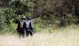 News24 | Body of suspected rhino poacher found morning after shootout in Kruger National Park