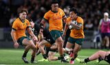 Wallabies star faces lengthy layoff