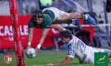 Springbok player ratings: Agents of chaos thrive!