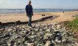 DA leaders put spotlight on Nelson Mandela Bay’s creaking wastewater treatment works
