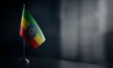 Ethiopia's foreign direct investment inches up ahead of bond restructuring