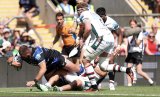 Du Toit, Van Graan taste Premiership glory