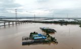 WATCH | Thousands take shelter as rain pounds South Korea for third day