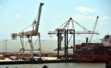 Export hopes sink as Maersk scraps direct US link