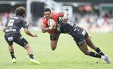 State of the URC: High-flying Sharks hunt Lions