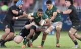 Junior Boks keep recipe for success