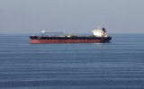 Former Iranian minister calls for Iranian control over Strait of Hormuz