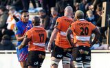 Frans fumes as Cheetahs miss giant kill