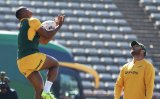Rassie: Willemse obvious choice at 15