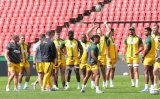 Springboks to take on Japan at Wembley in November
