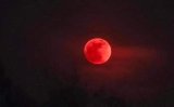 News24 | SEE | Blood moon rising: Readers share their pictures from across SA