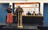 Minister of Social Development promises probe into disability grant applications